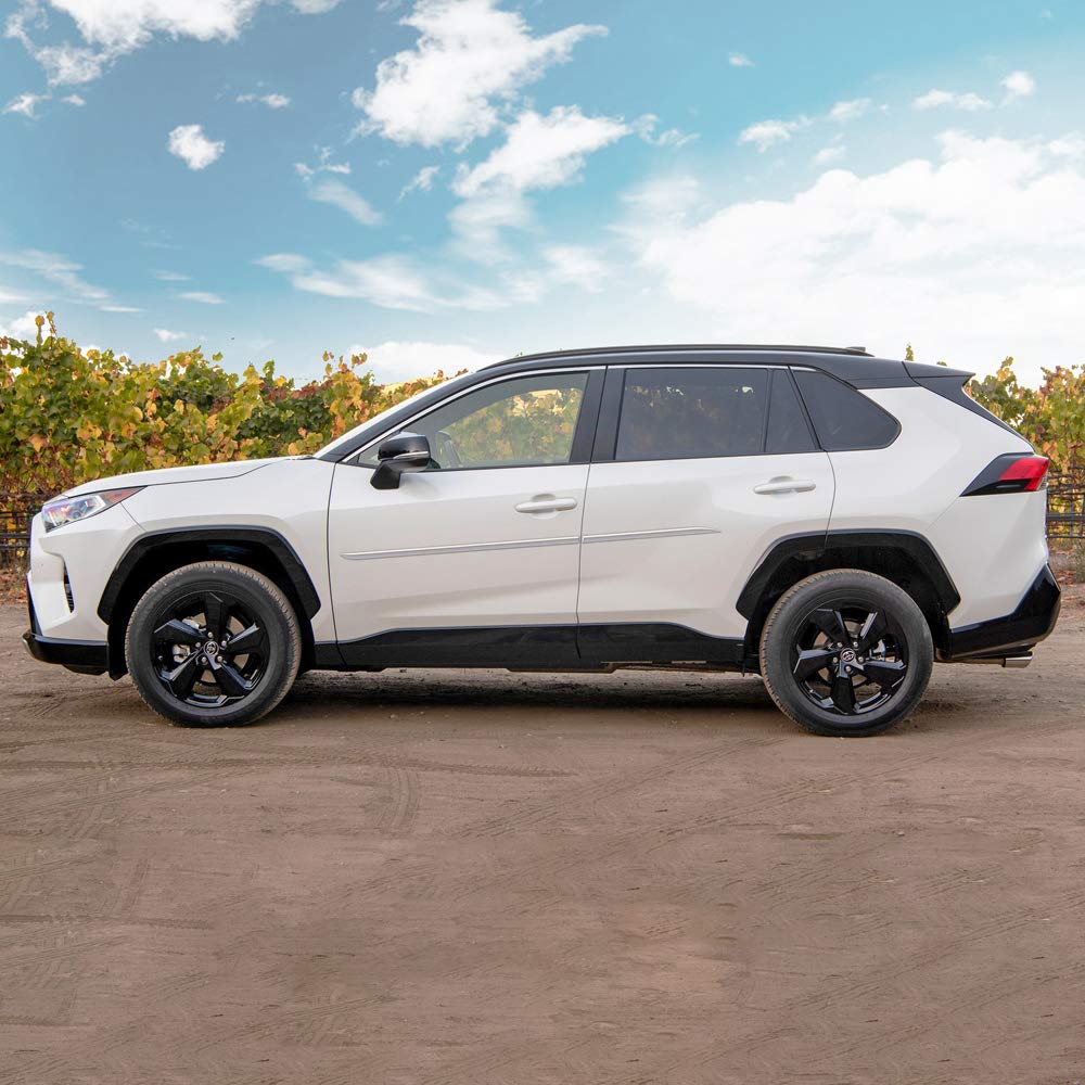 Amazon.com: Dawn Enterprises FE7-RAV4-19 Painted Body Side Molding